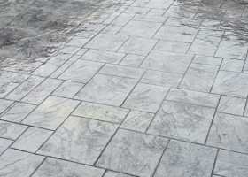 IMG-20250213-WA0019